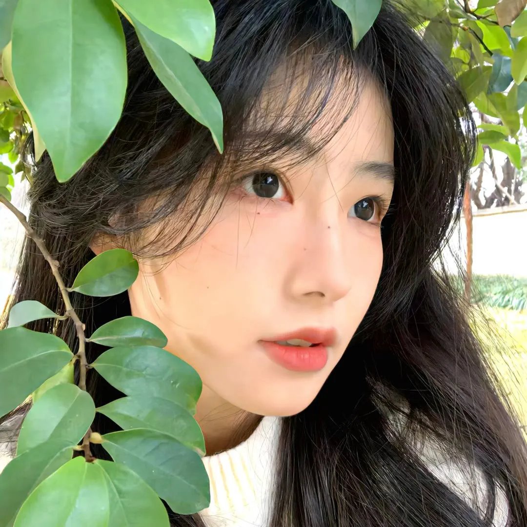 李茶的姑妈