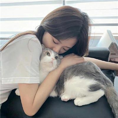 熊出没注意